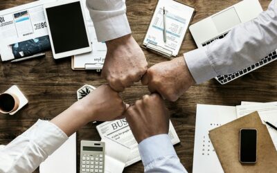 Liderazgo Emocional: El Factor que potencia la productividad en las organizaciones.