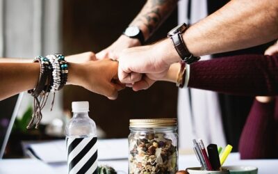 Pensamiento Sistémico. La Clave para Multiplicar la Productividad Personal y la de los Equipos de Alto desempeño.